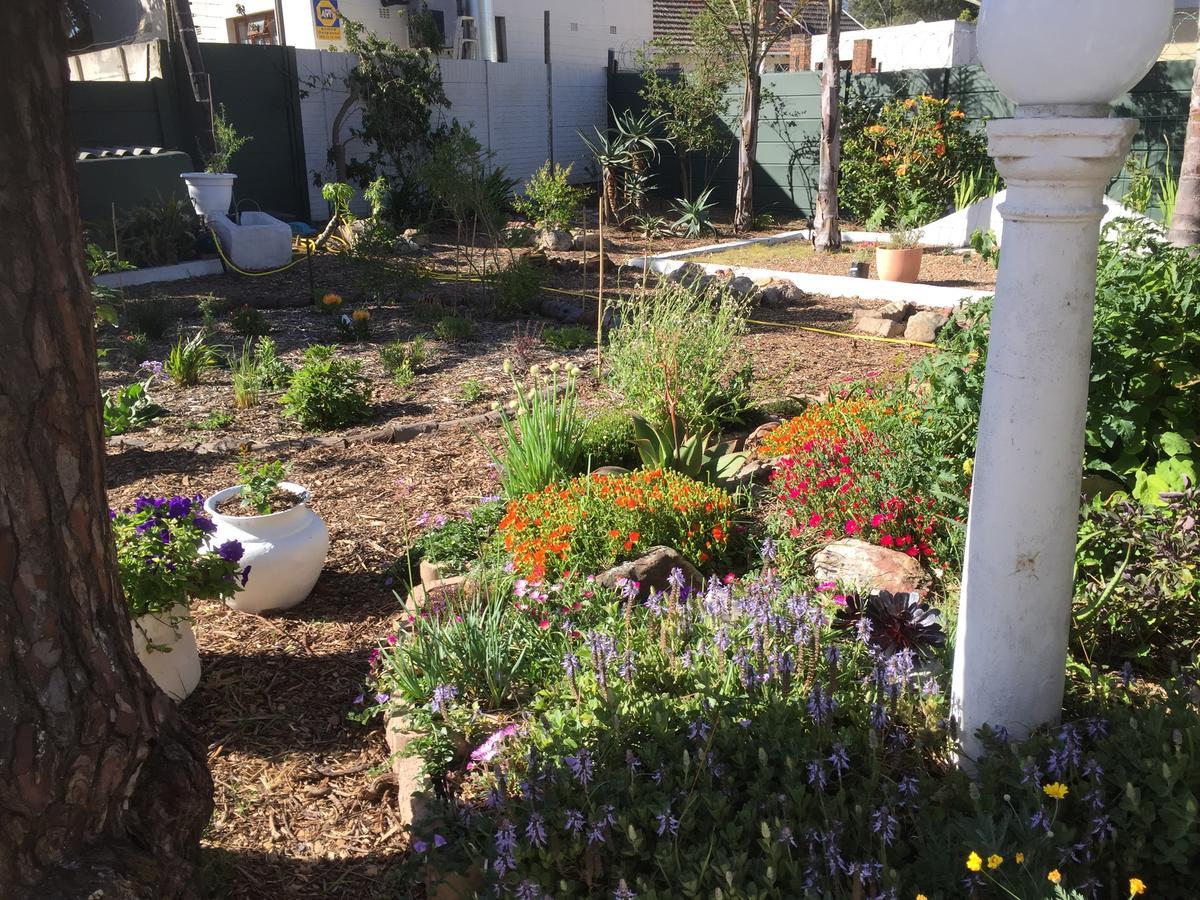 קייפטאון Howards End Manor B&B מראה חיצוני תמונה