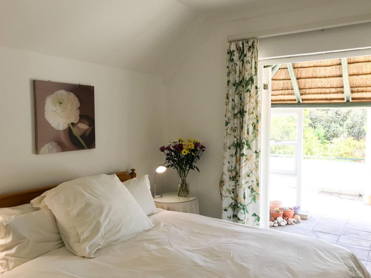 קייפטאון Howards End Manor B&B מראה חיצוני תמונה